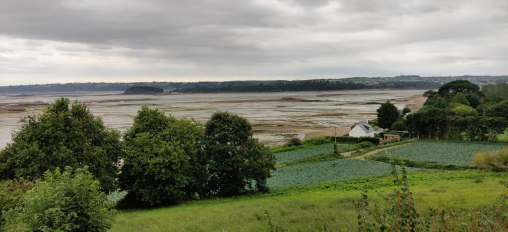 Les choux de Paimpol