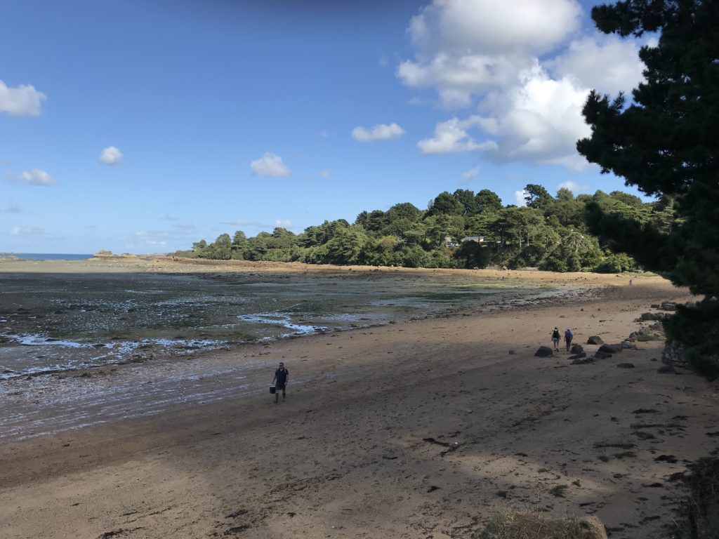 Ile à Bois