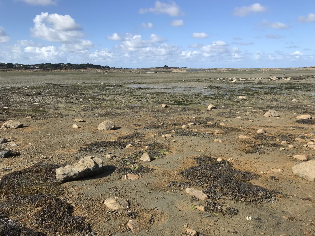 Ile à Bois