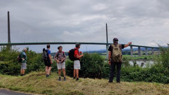 Forêt du Trait-Maulévrier aux alentours de Caudebec-en-Caux