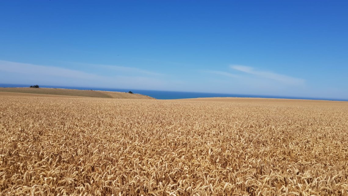 De Veulettes-sur-Mer à Senneville-sur-Fécamp