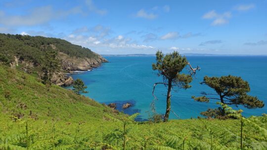 GR34 De l’Anse De Dinan à Morgat