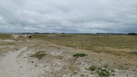 GR34 D’étang de Kergalan à Penmarc’h