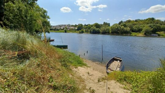 Loire à vélo d’Ecouflant à Ancenis