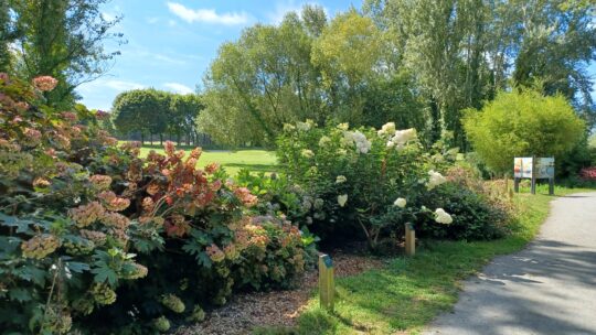 Circuit des Hortensias